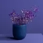 Preview: Schleierkraut lila in Vase