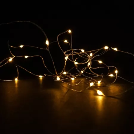 Micro LED Lichterkette von Florissima