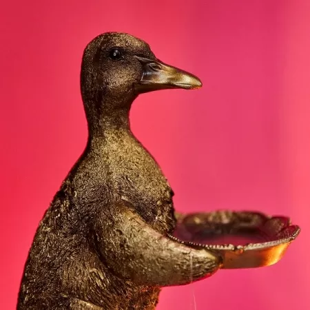 Kartenhalter Ente gold von Wvoß